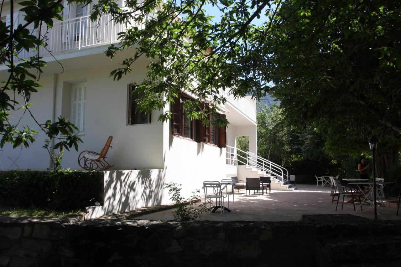 1Er Consul Sas A Bussinca Bed and Breakfast Bocognano Buitenkant foto