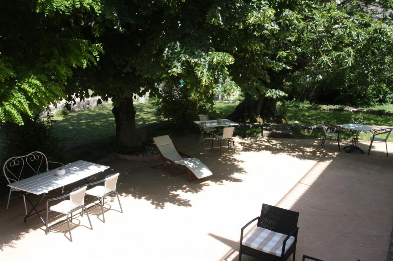 1Er Consul Sas A Bussinca Bed and Breakfast Bocognano Buitenkant foto
