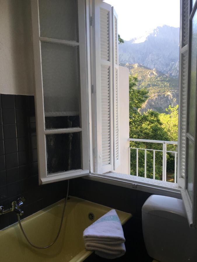 1Er Consul Sas A Bussinca Bed and Breakfast Bocognano Buitenkant foto
