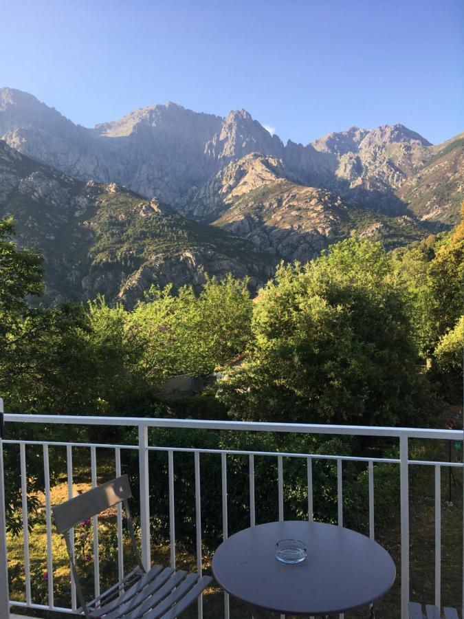 1Er Consul Sas A Bussinca Bed and Breakfast Bocognano Buitenkant foto