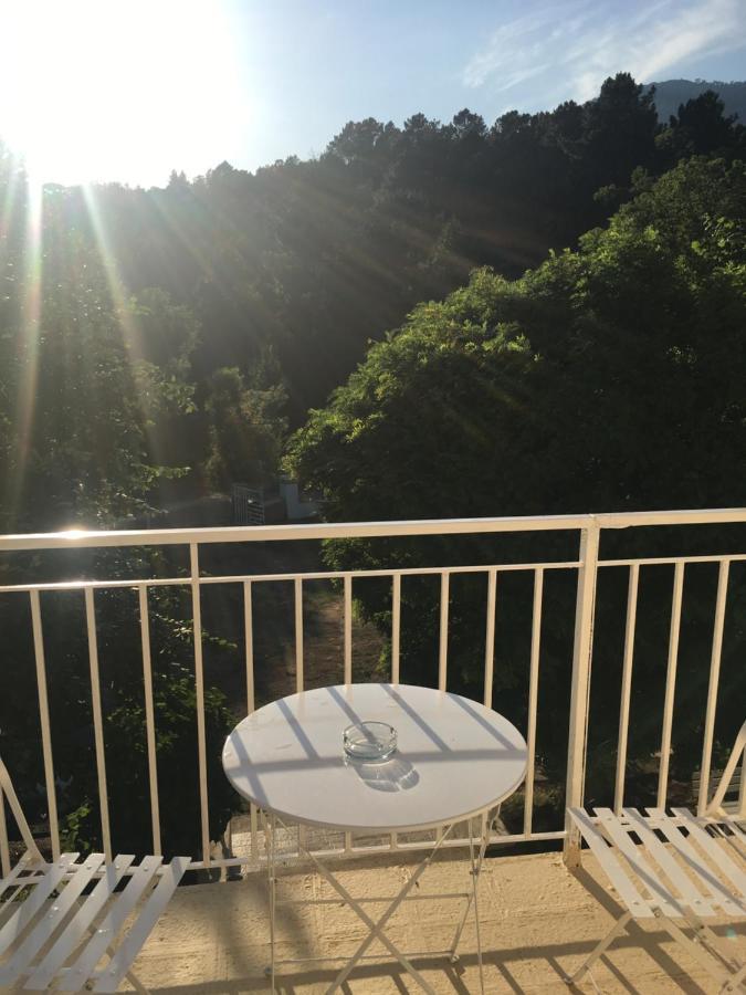 1Er Consul Sas A Bussinca Bed and Breakfast Bocognano Buitenkant foto